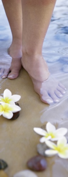 Layout Start - balken